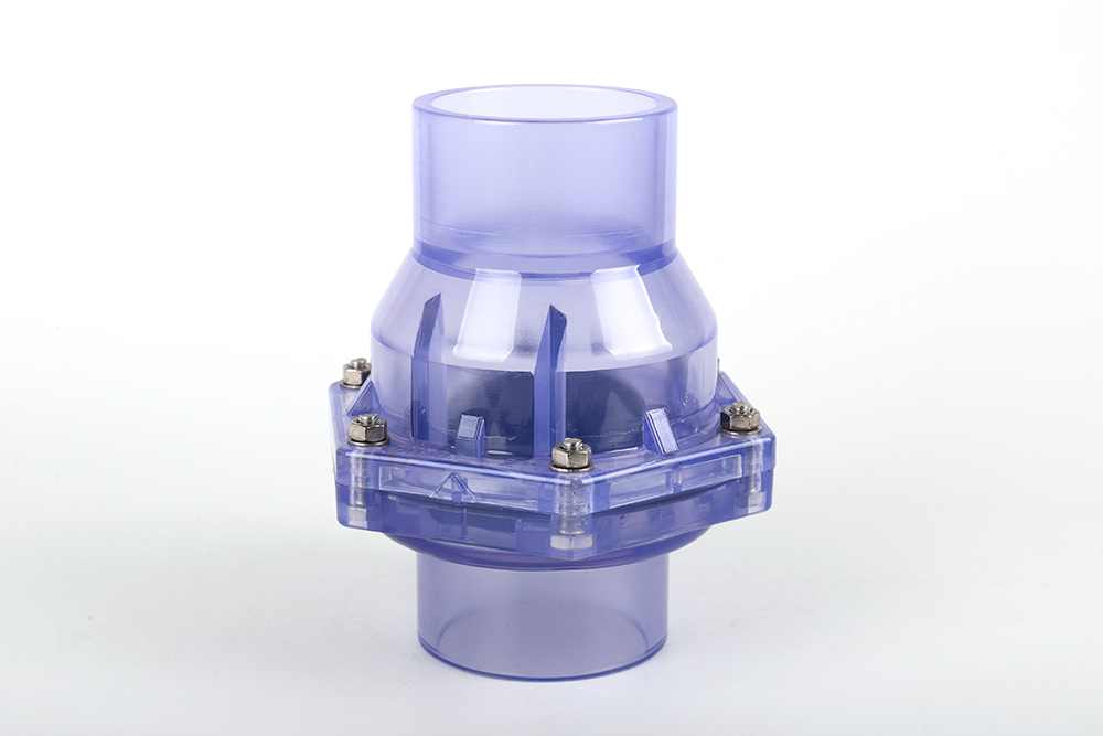 辛集透明翻板式止回阀